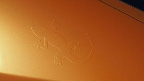 Gecko