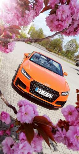 Bild #210181696