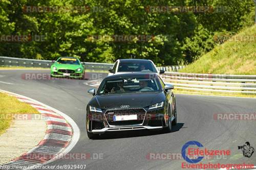 TTRS-NOS_Wippermann