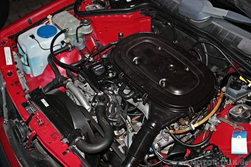 Img-6431