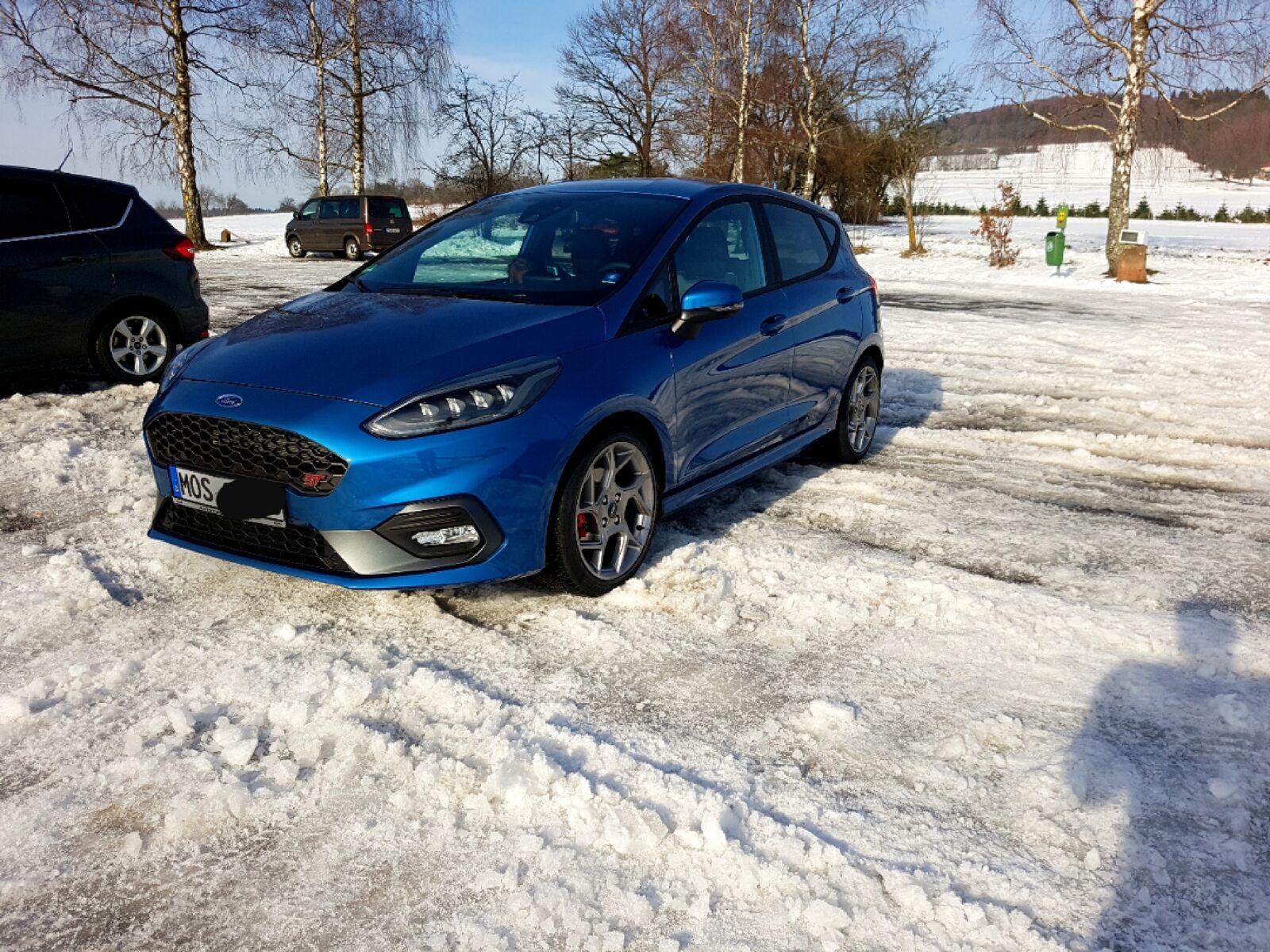 Sammelthread: Zeigt her euren Fiesta MK8!