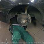 Sippi-1 unterm Auto
