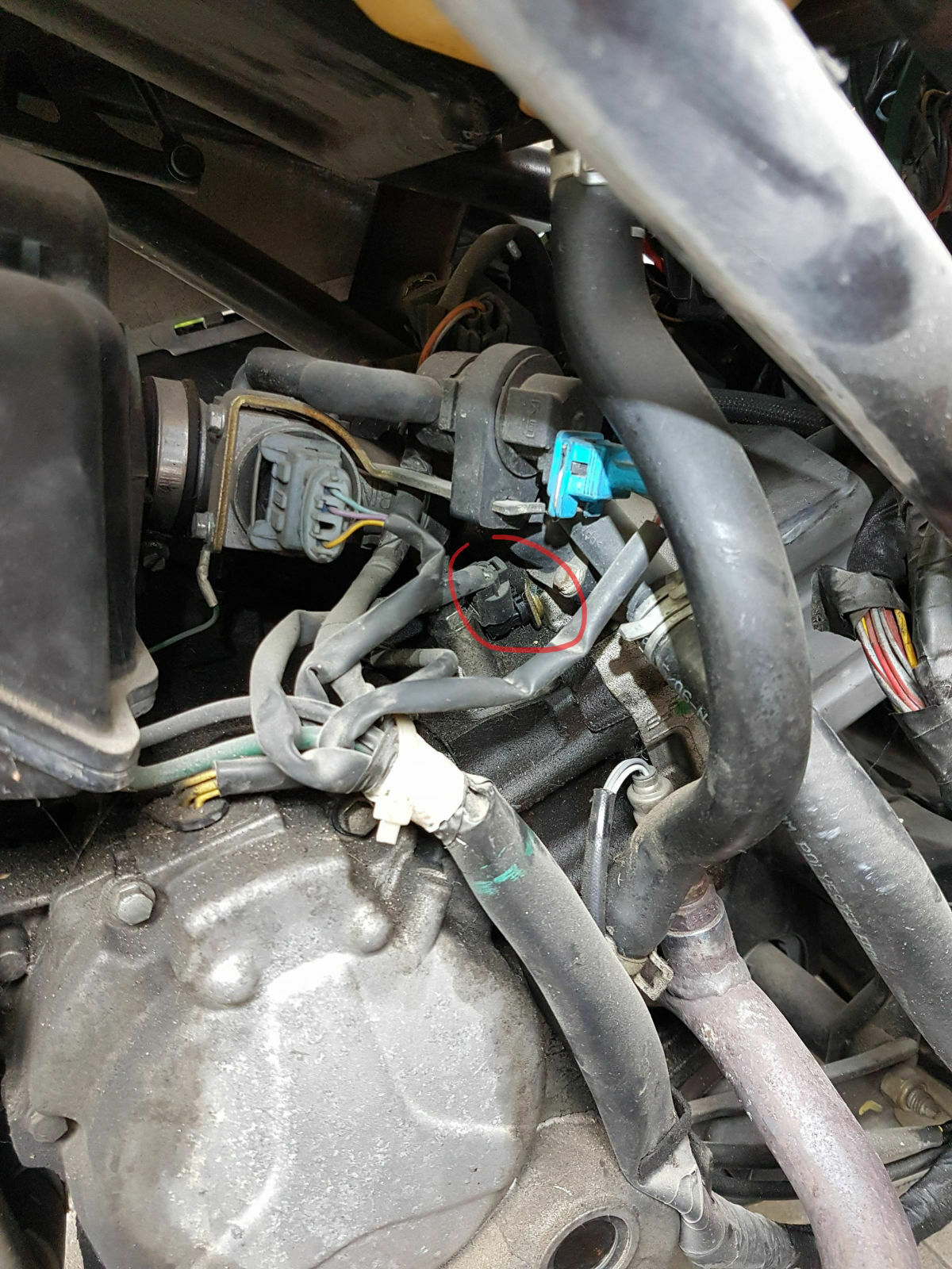 Satelis 125 nimmt Gas nicht an