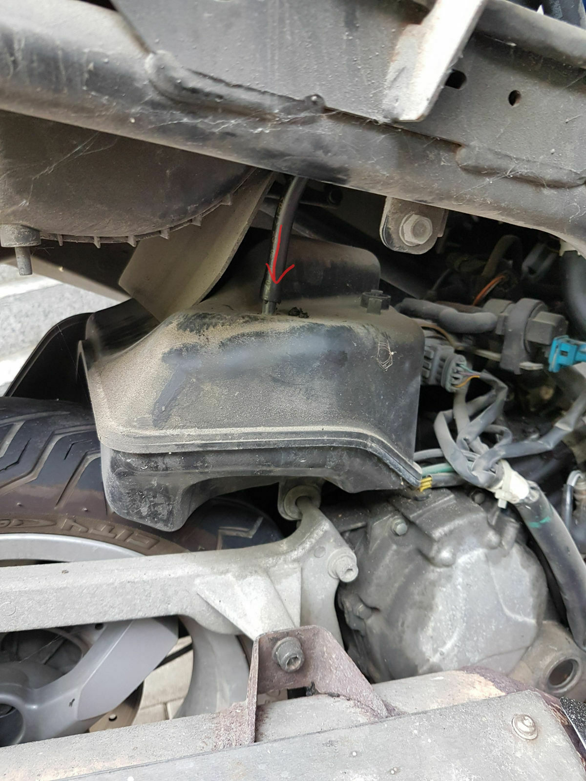 Satelis 125 nimmt Gas nicht an
