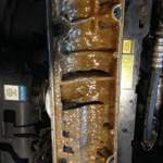 Img-20141021-wa0006