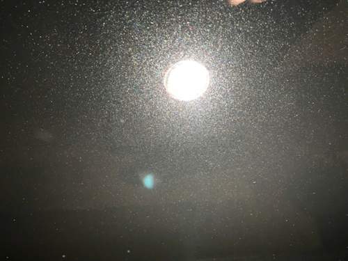 Nachher, mit Rupes LHR 15, dem gelben Rupes Feinscheilfpad und der Meterna 2500.jpg