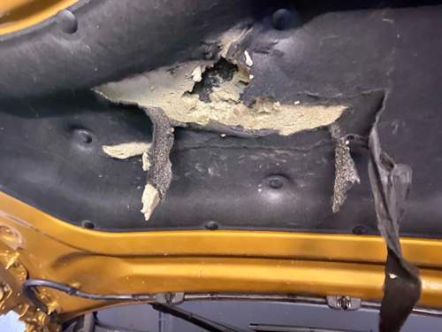 Schaden unter Motorhaube.jpg