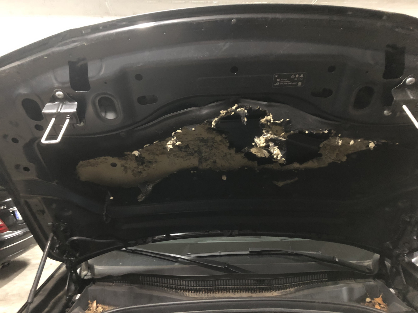 Schaden an Motorhauben Matte