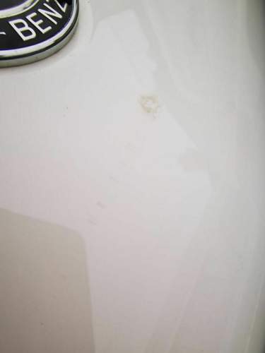 Img-20200114-wa0004