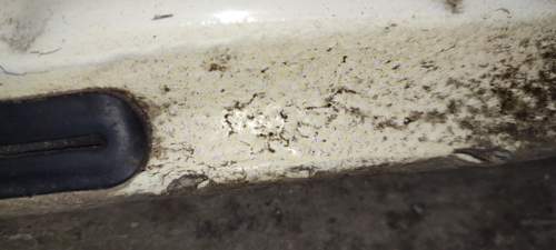 Img-20211103