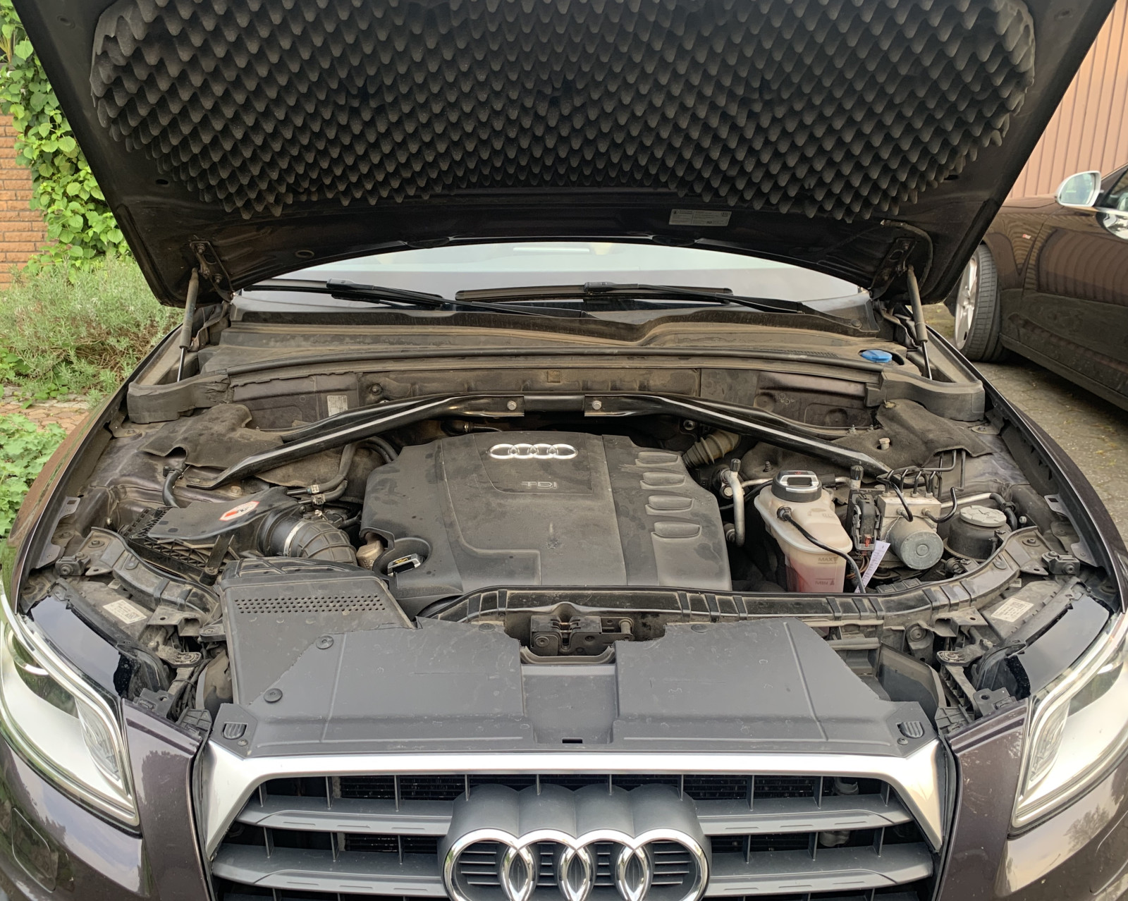 Schaumstoff unter dem Motordeckel