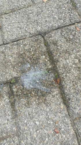 20170827_130533.jpg