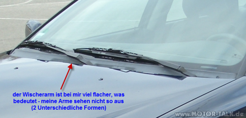Elch