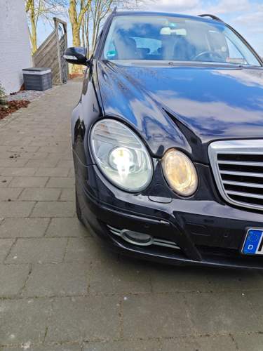 Bild #211421076