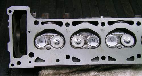 Sany6232