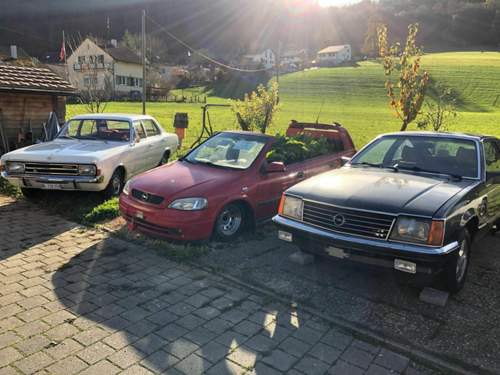 Bild #210027134