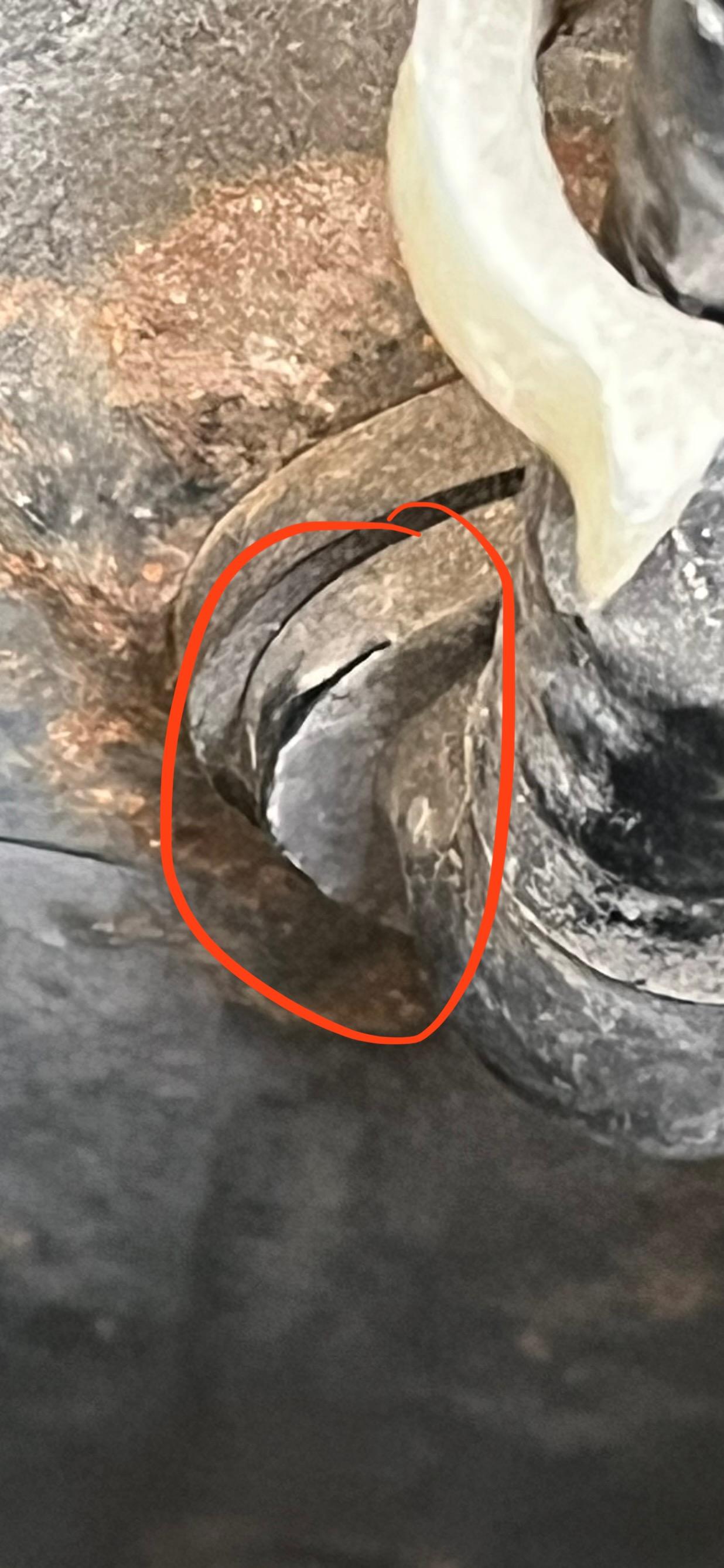 Schlauch von Bremskraftverstärker zur Drosselklappe?