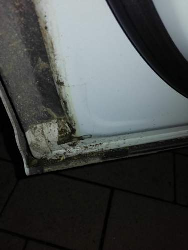 IMG_2021-02-22_18-14-41.jpeg