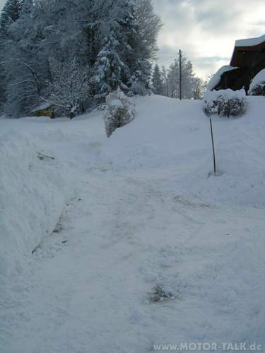 Bild-2