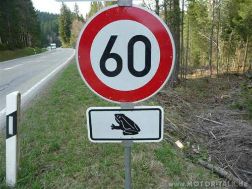Kroetenwanderung