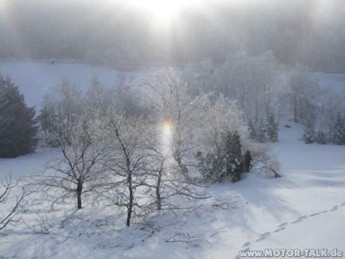Bild-1