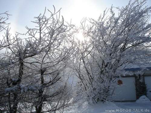 Bild-2