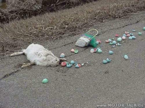 Osterhase