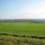 Img-3058