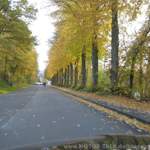 Img-3024