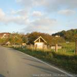 Img-3033