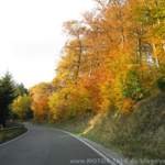 Img-3035
