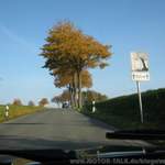 Img-3061