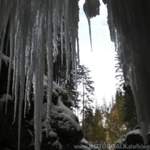 Winterzauber überall