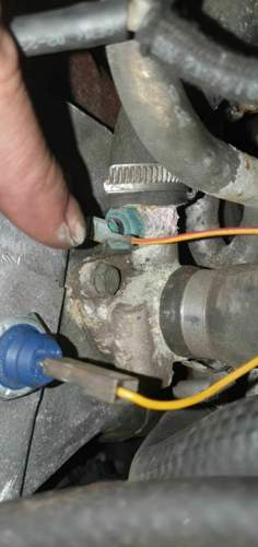 Schraube Thermostat 1