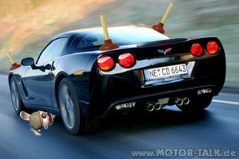 Corvettepuem