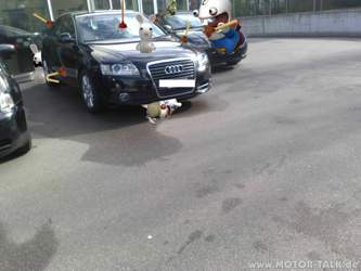Ilir-s-audi