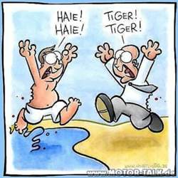 Haietiger
