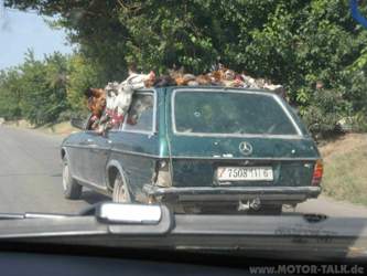 Huenertransport-auf-marokkanische-art-p8222772