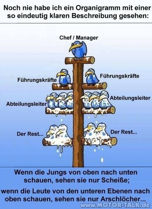 Schreibst du noch oder spammst du schon?
