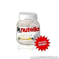 Knut1