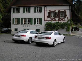 Bild-b
