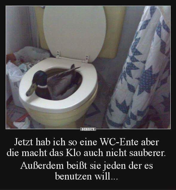 Schreibst du noch oder spammst du schon?