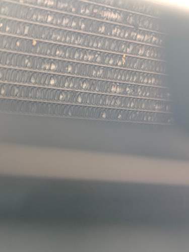 1000017639