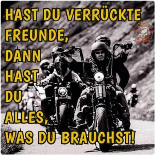 Verru-ckte-freunde
