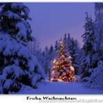 Frohe-weihnachten