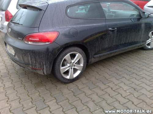 Rocco1