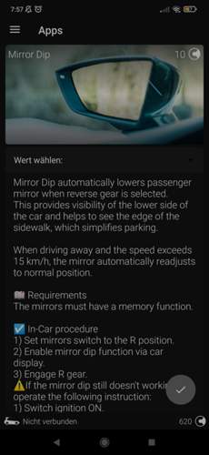 Spiegeldip