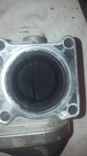 20170819_140445.jpg