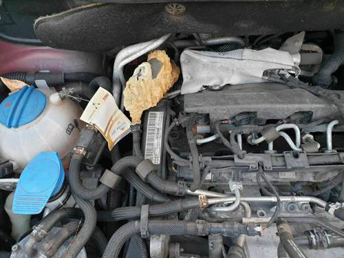 Motorraum