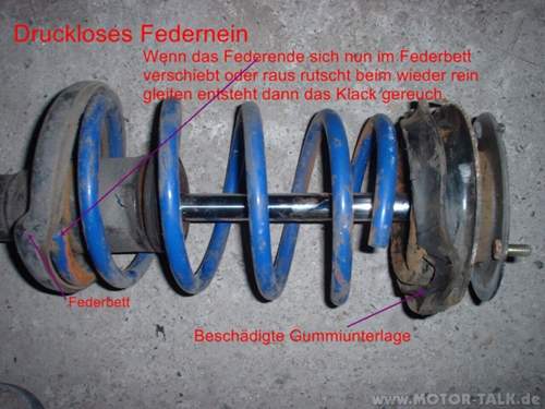 Federbein-02